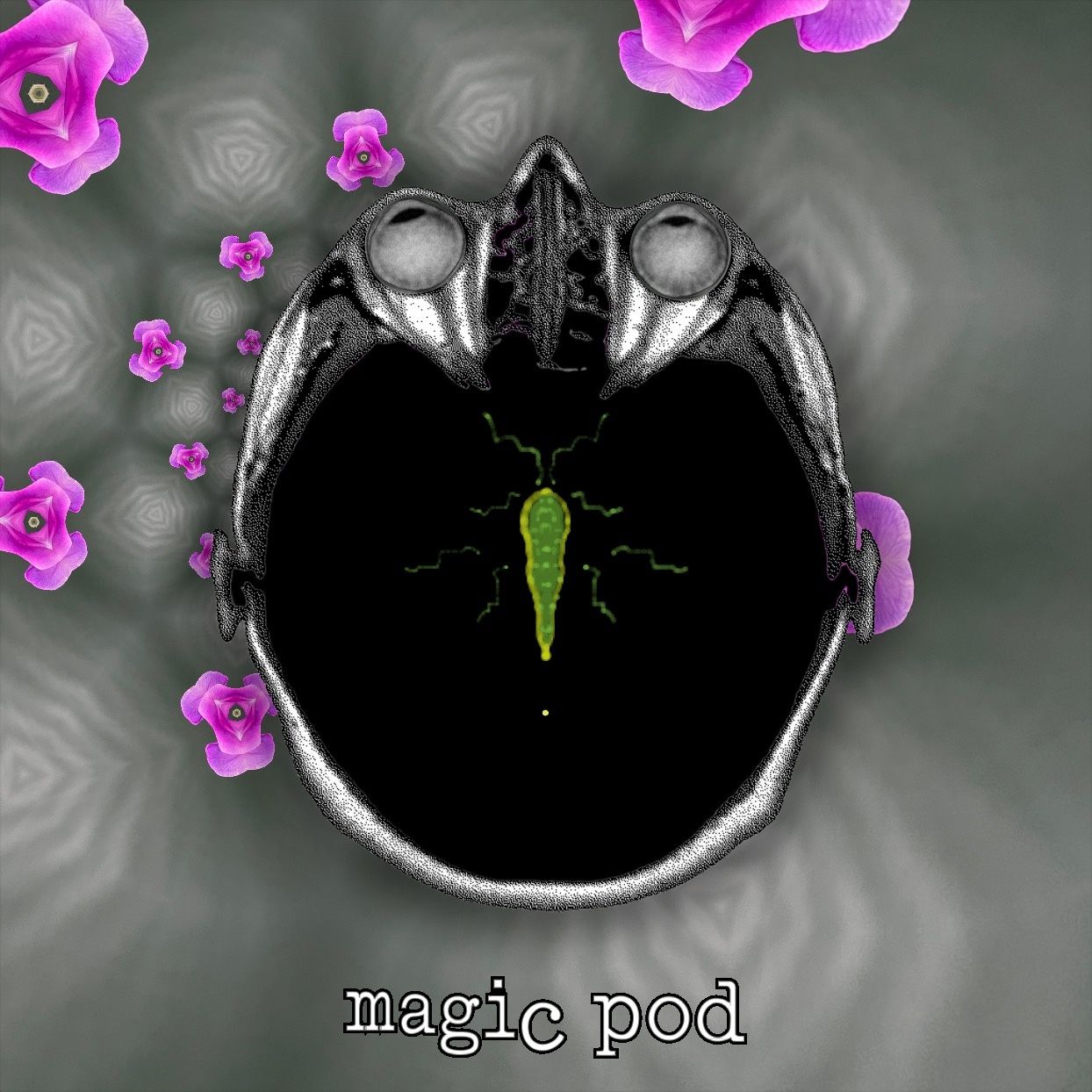 magic pod