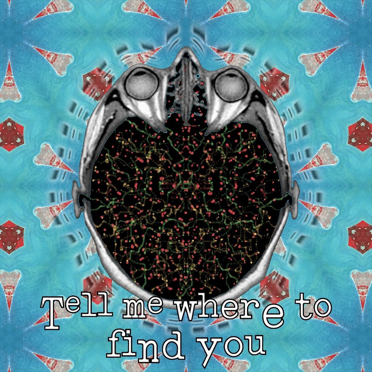 Tell me where to find you
