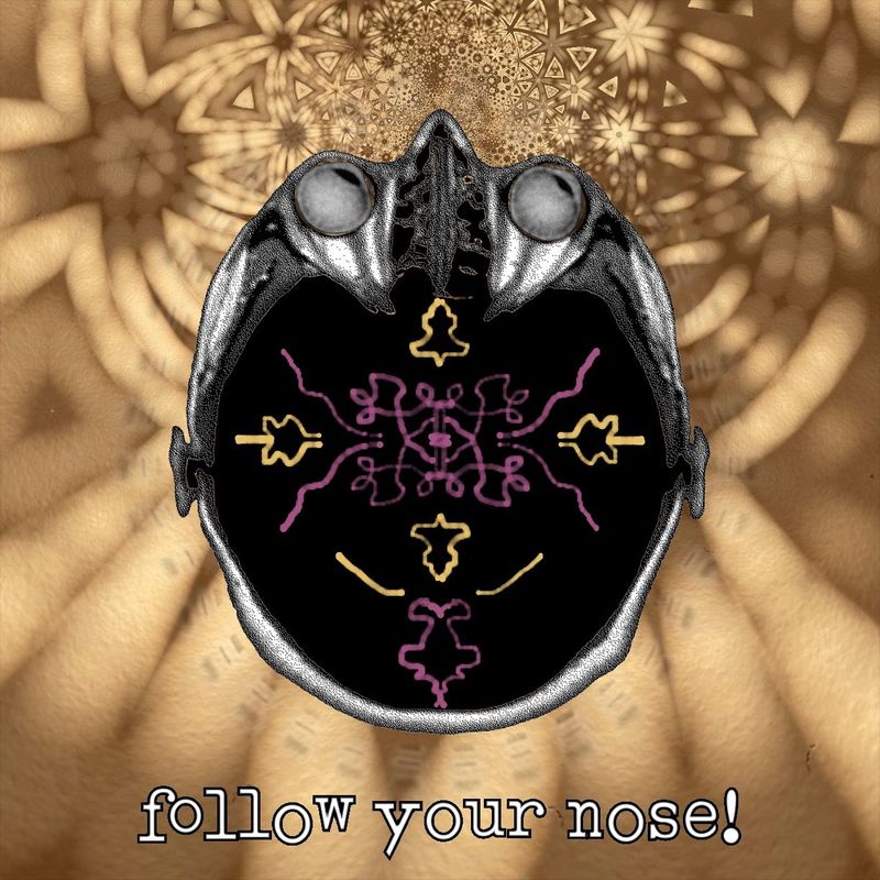 follow your nose!