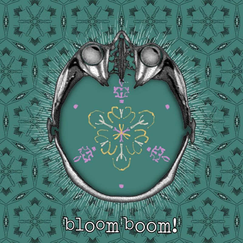 bloom boom!