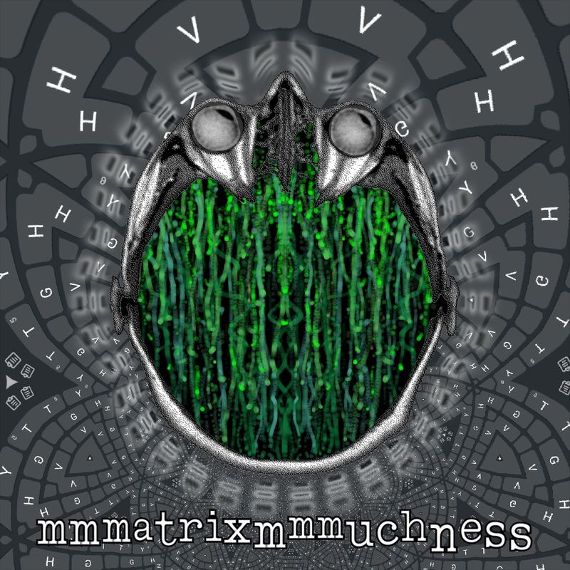 mmmatrixmmmuchness