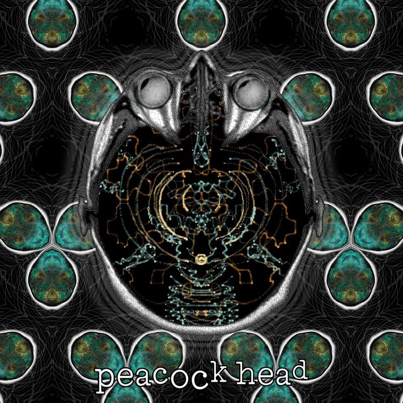 peacock head