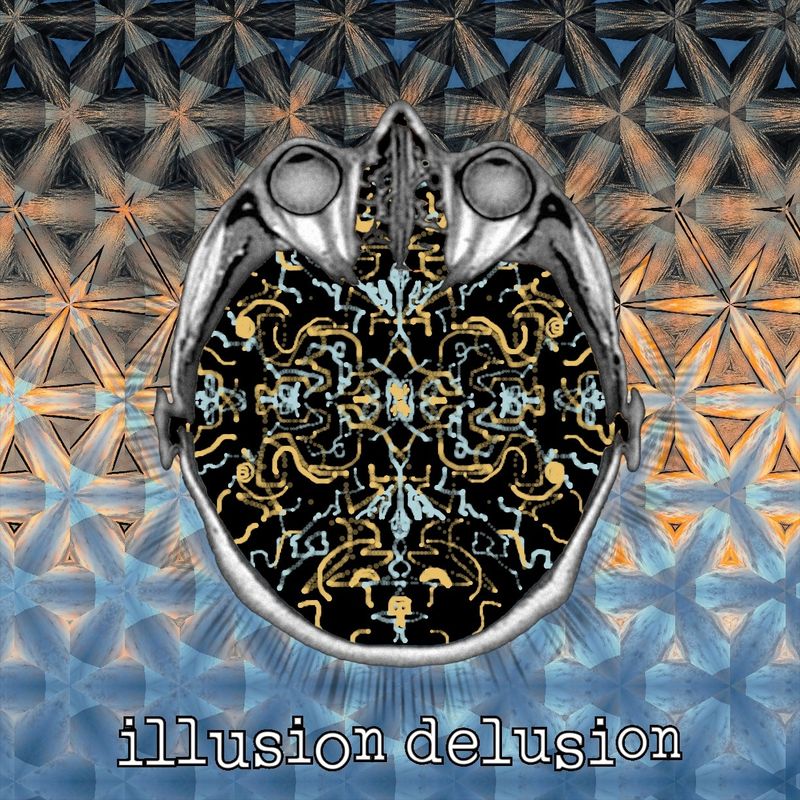 illusion delusion