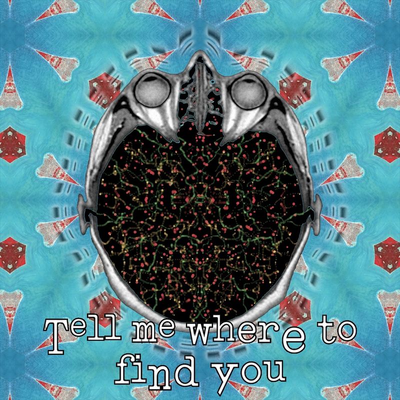 Tell me where to find you